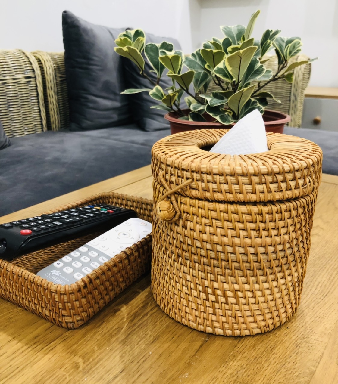 CÔNG TY TNHH MÂY TRE LÁ LTL