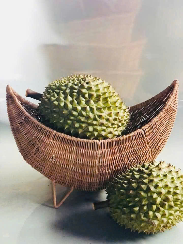 CÔNG TY TNHH MÂY TRE LÁ LTL