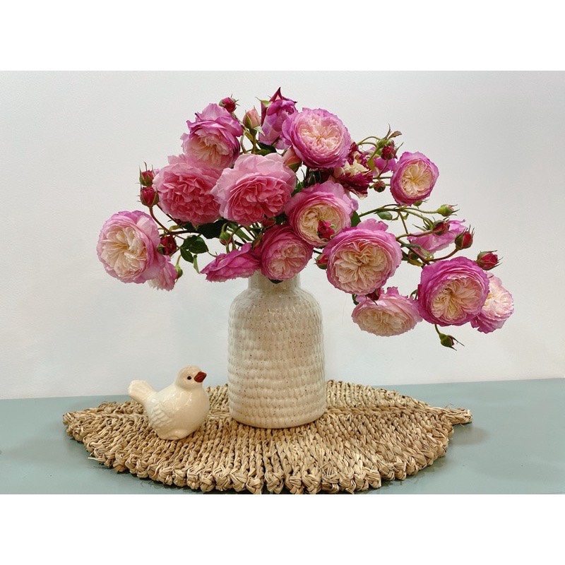 CÔNG TY TNHH MÂY TRE LÁ LTL