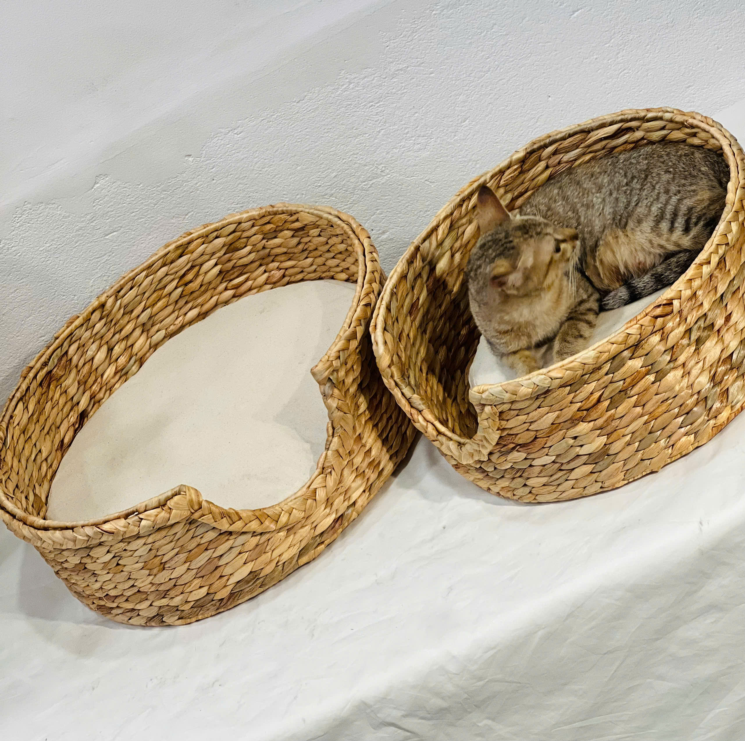 CÔNG TY TNHH MÂY TRE LÁ LTL