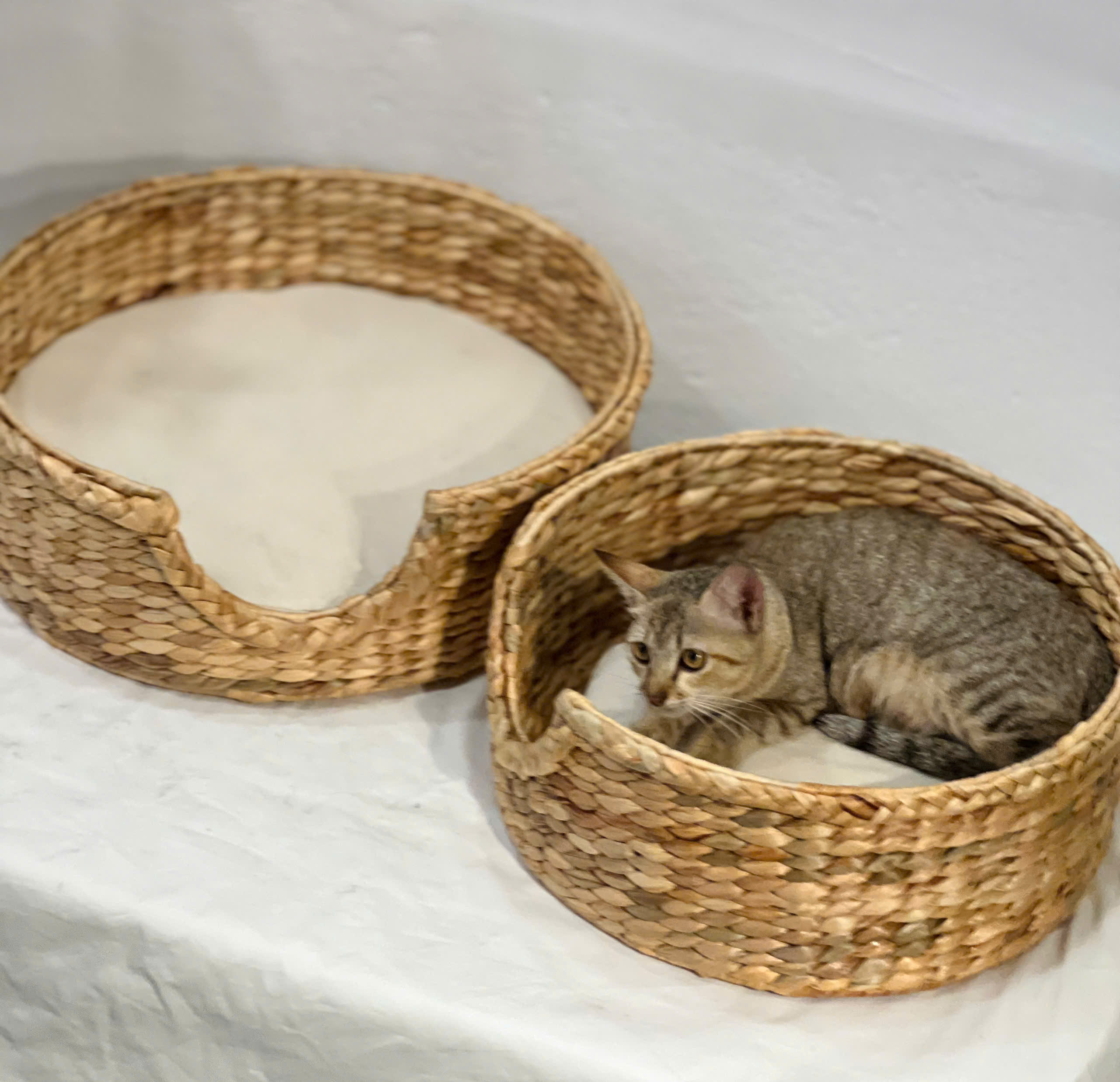 CÔNG TY TNHH MÂY TRE LÁ LTL