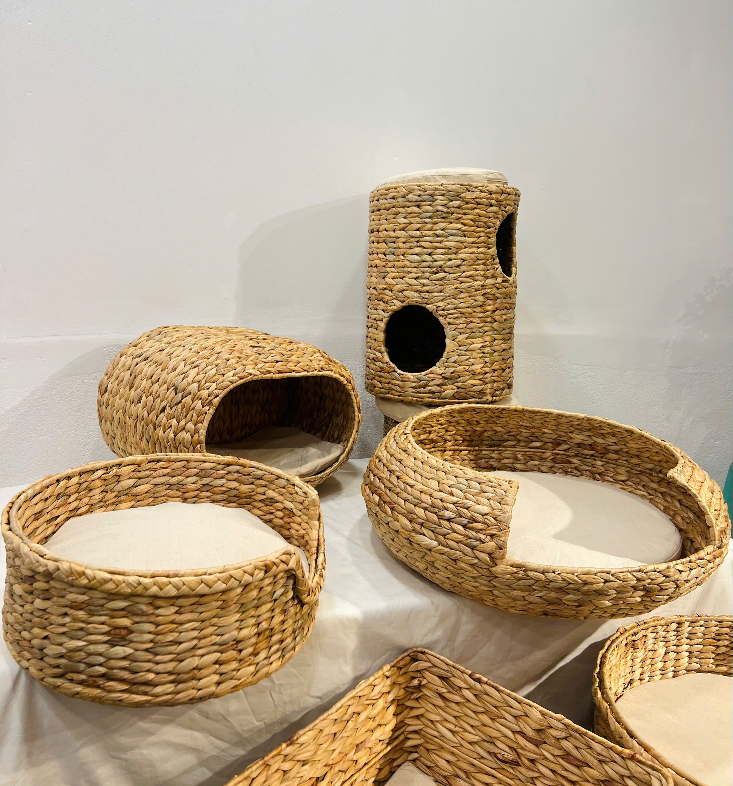 CÔNG TY TNHH MÂY TRE LÁ LTL