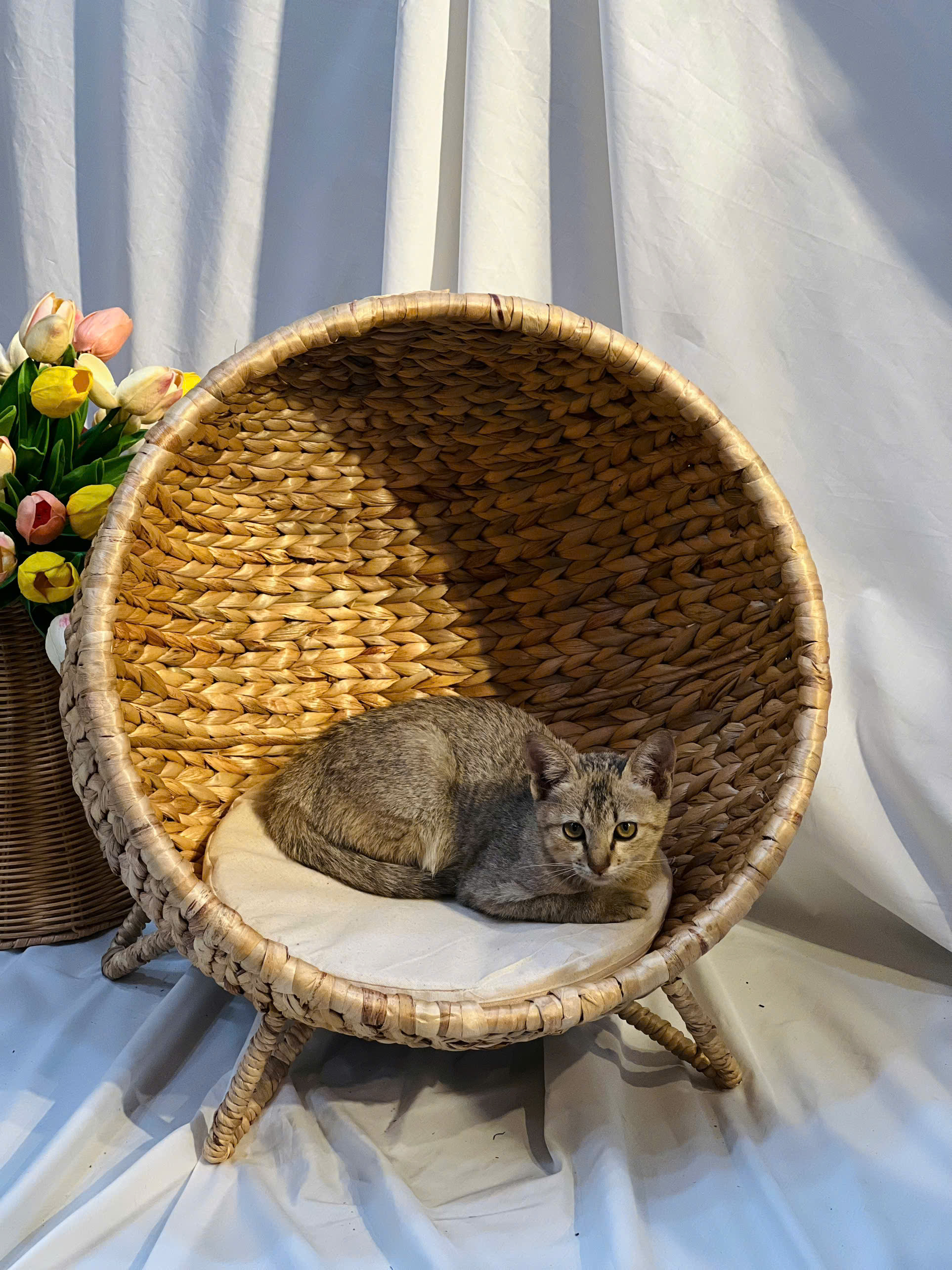 CÔNG TY TNHH MÂY TRE LÁ LTL