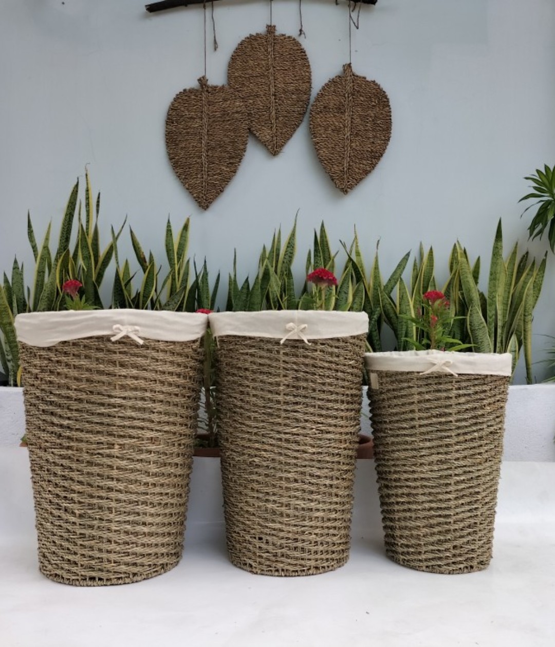 CÔNG TY TNHH MÂY TRE LÁ LTL